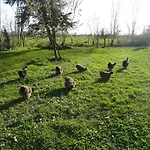 La Fontenelle D'hotes