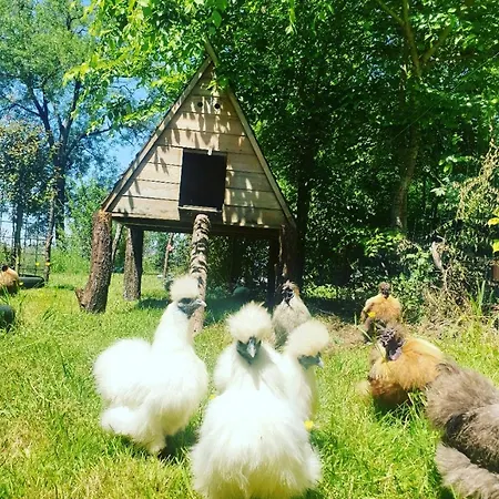 Bed & Breakfast La Fontenelle D'hotes