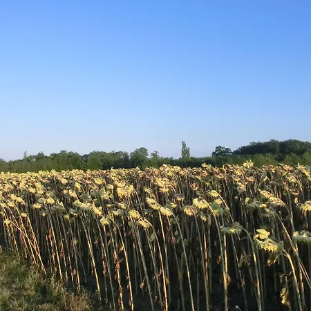 Bed & Breakfast La Fontenelle D'hotes 3*