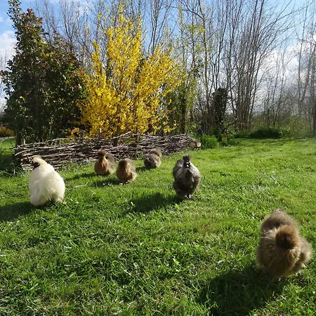 La Fontenelle D'hotes Bed & Breakfast