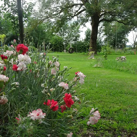 La Fontenelle D'hotes Sainte-Severe