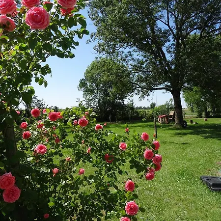 Bed & Breakfast La Fontenelle D'hotes Sainte-Severe