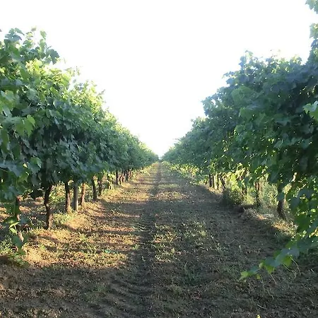 Bed & Breakfast La Fontenelle D'hotes