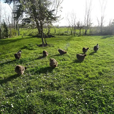 La Fontenelle D'hotes